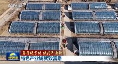 【再访脱贫村 复兴景象形象新】特色财产铺就致